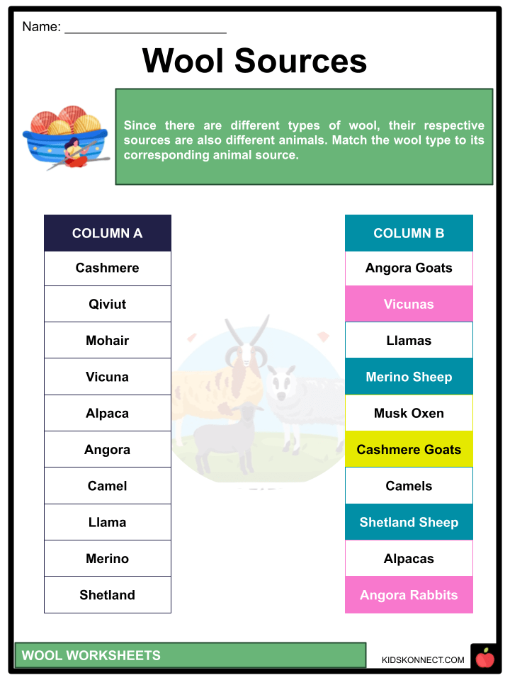 Wool Worksheets History, Benefits, Types, Production, Uses