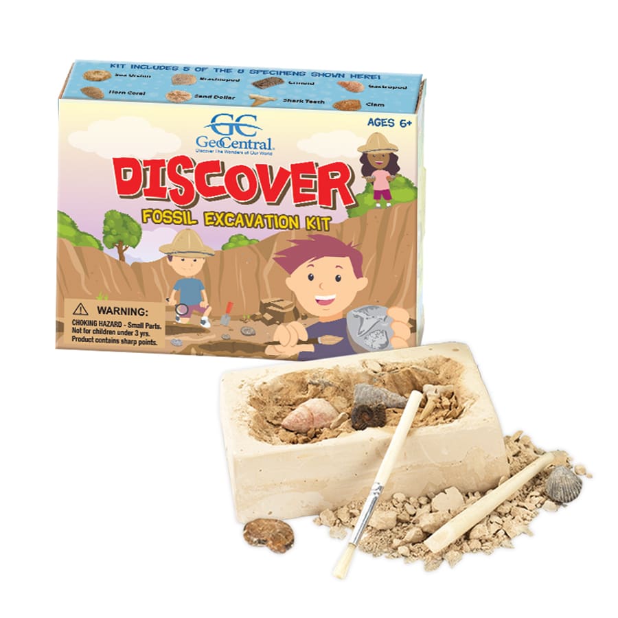 Fossil Excavation Kit Discover Science Activity Kids Love Rocks