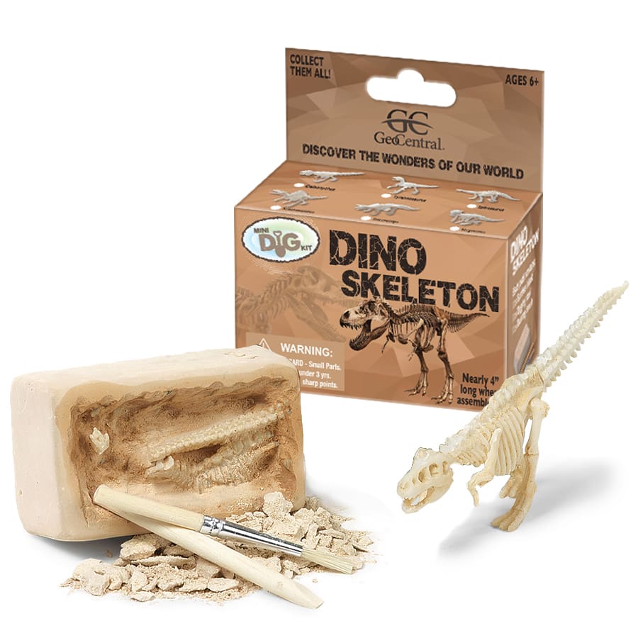 Dino Skeleton Mini Excavation Kit Activity for Kids Kids Love Rocks