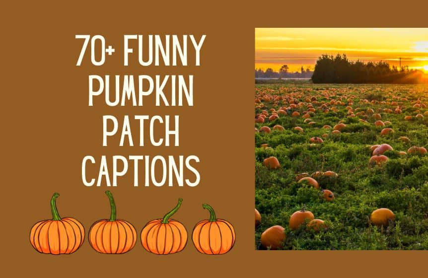 70+ Funny & clever pumpkin patch captions for this season Kids n Clicks
