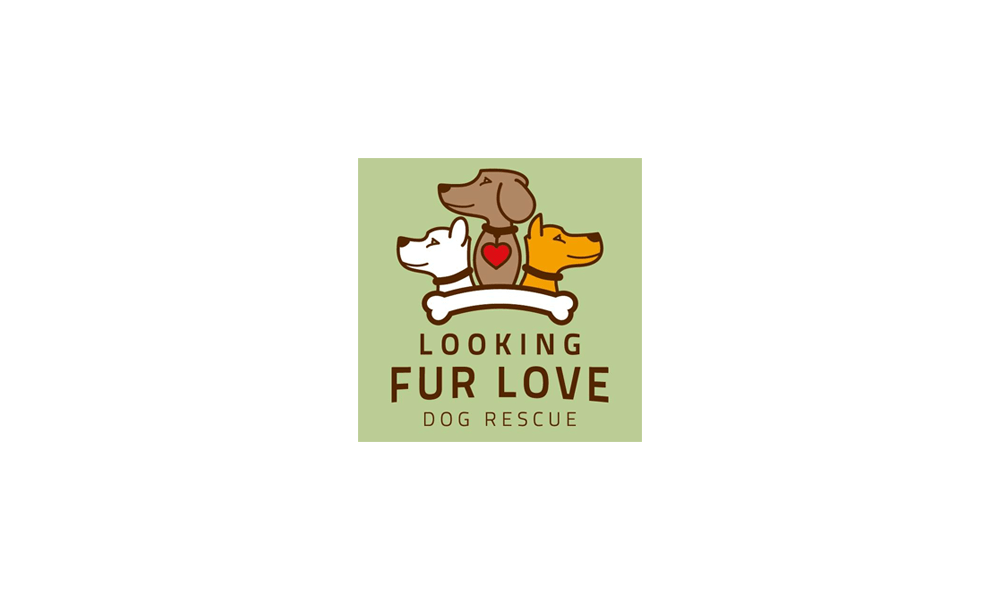 Looking Fur Love Dog Rescue Kids That Do Good