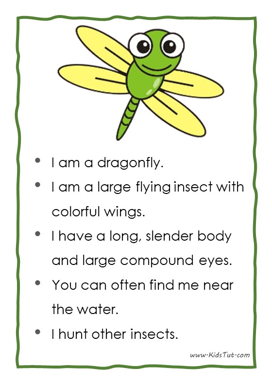12 Easy Essays for Kids Exploring Insects World KidsTut