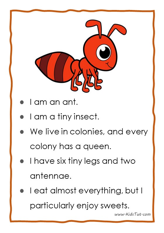 12 Easy Essays for Kids Exploring Insects World KidsTut