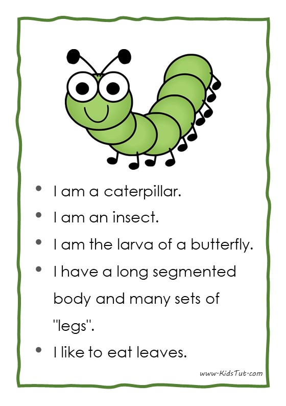 12 Easy Essays for Kids Exploring Insects World KidsTut