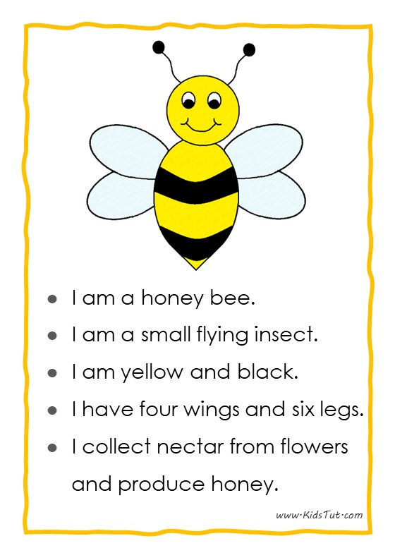 12 Easy Essays for Kids Exploring Insects World KidsTut