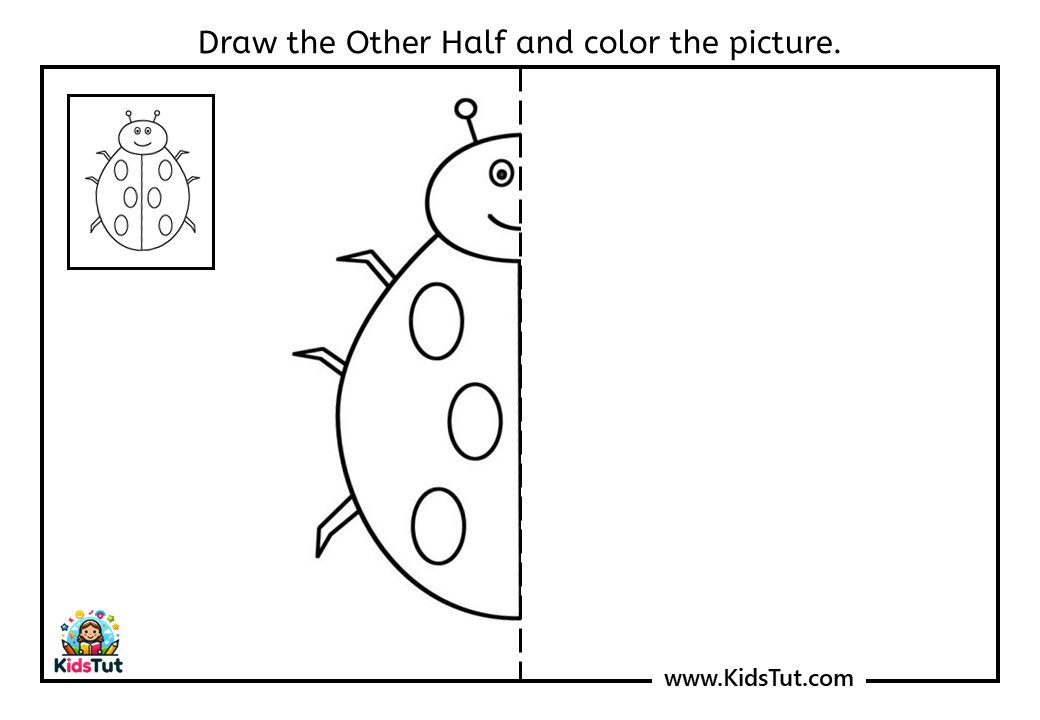Free Symmetry drawing worksheets for kids - KidsTut