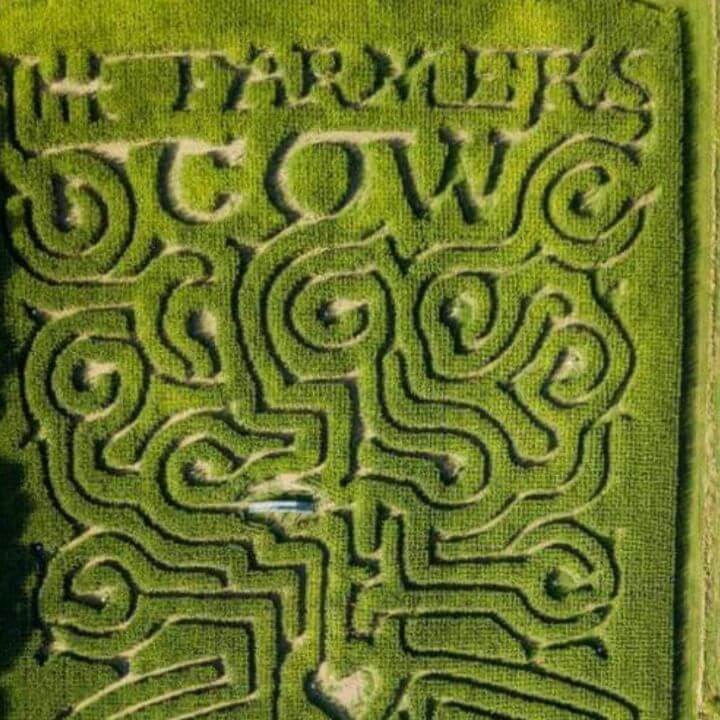 Connecticut Corn Mazes