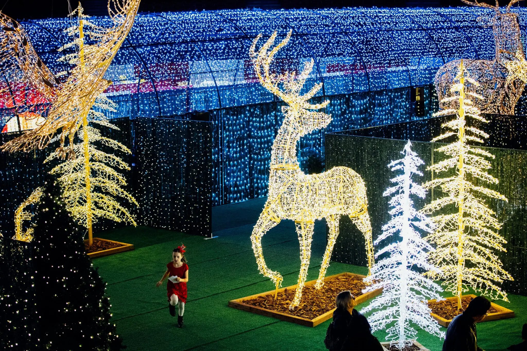 2023 CT Holiday Light Displays!