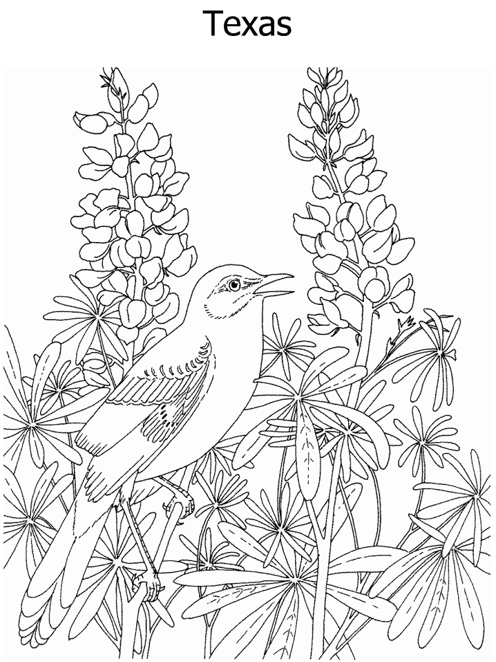 Super hard coloring pages of flowers
