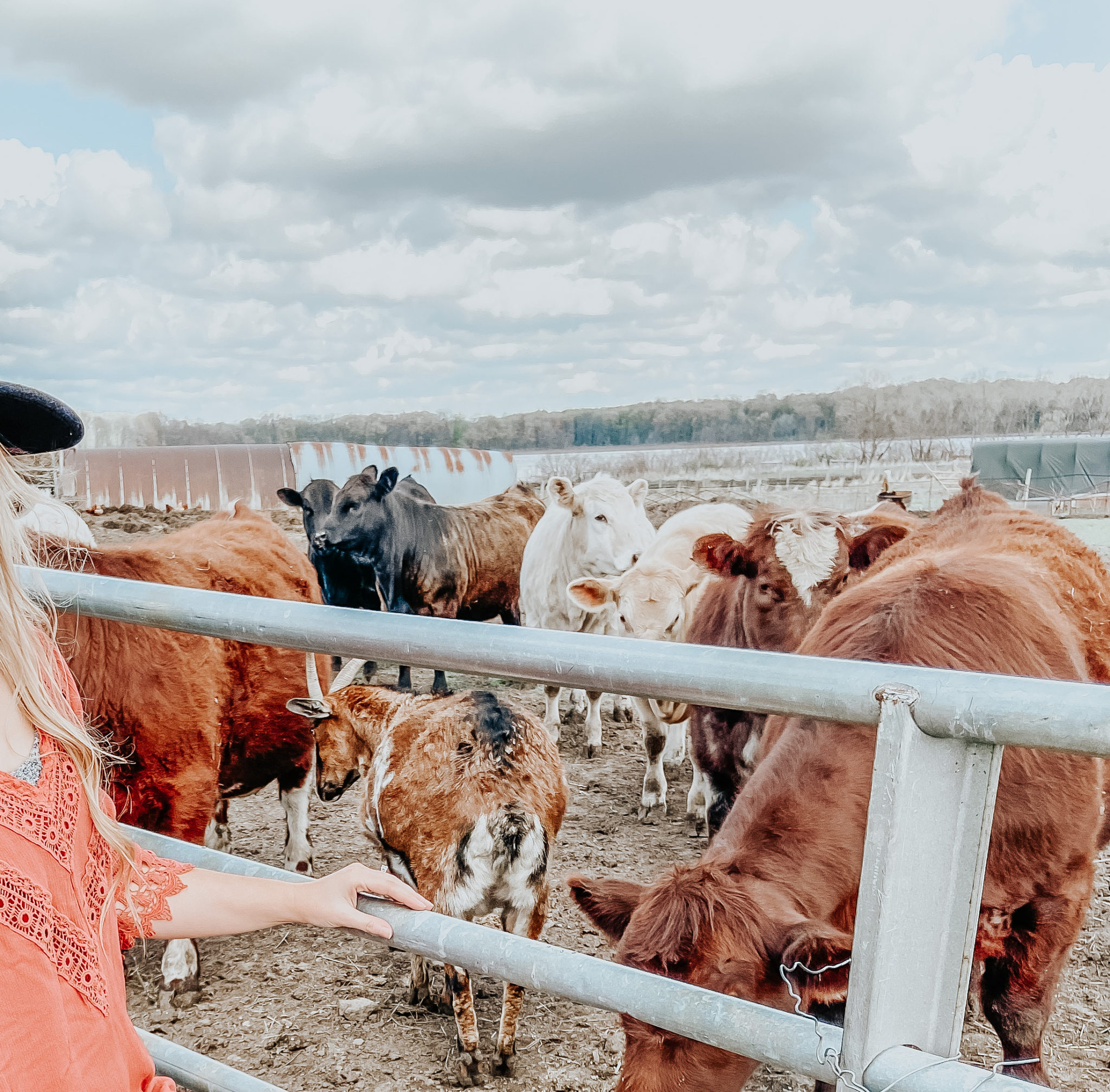 How Much Land Do You Need to Be SelfSufficient? Kiersten Zile