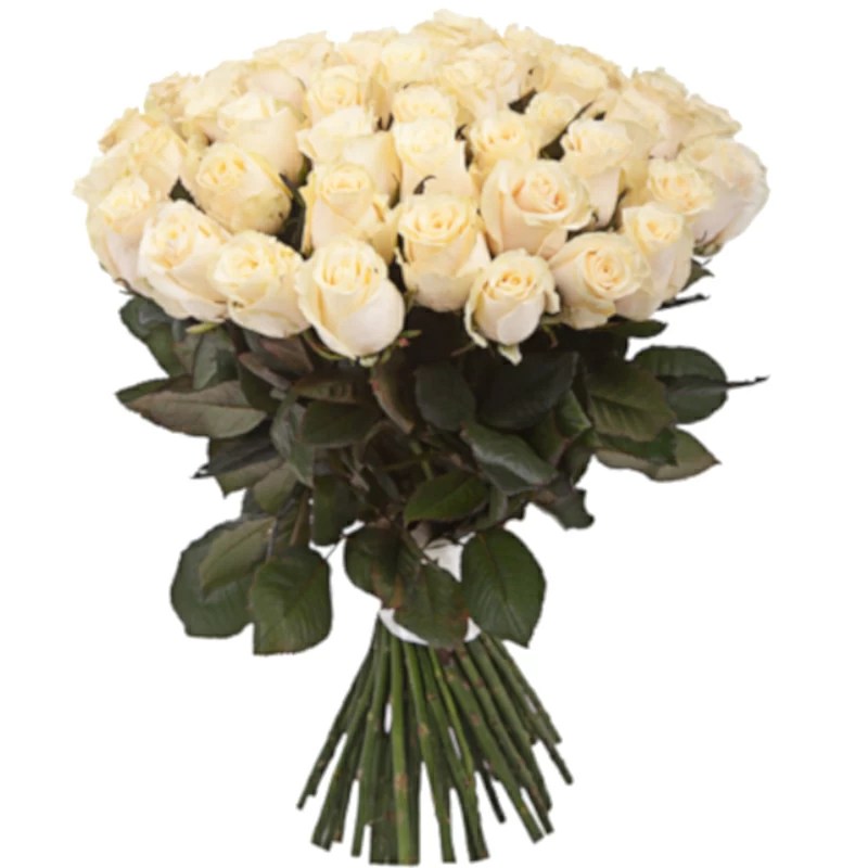 35 Белых Роз купить букет с доставкой. Цена, фото, отзывы, подарки
