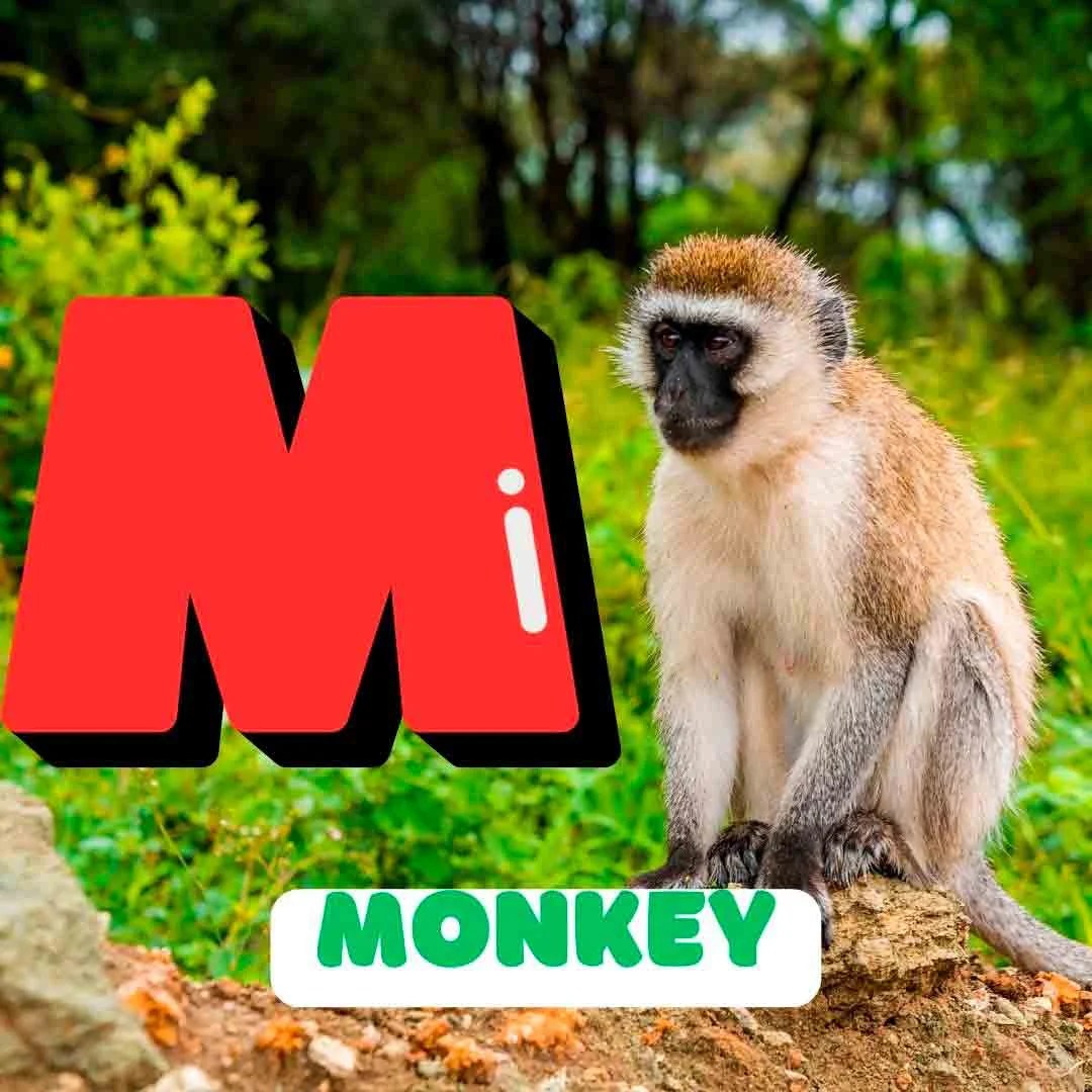 Phonics M Онлайн ресурс английского языка для детей и подростков