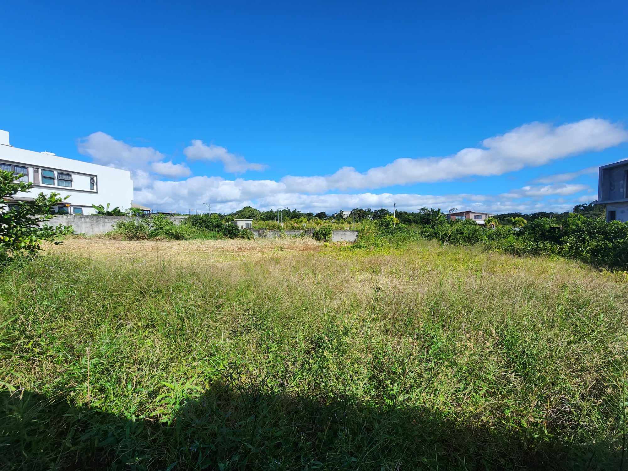 Land For Sale Aurea KI'IMMO