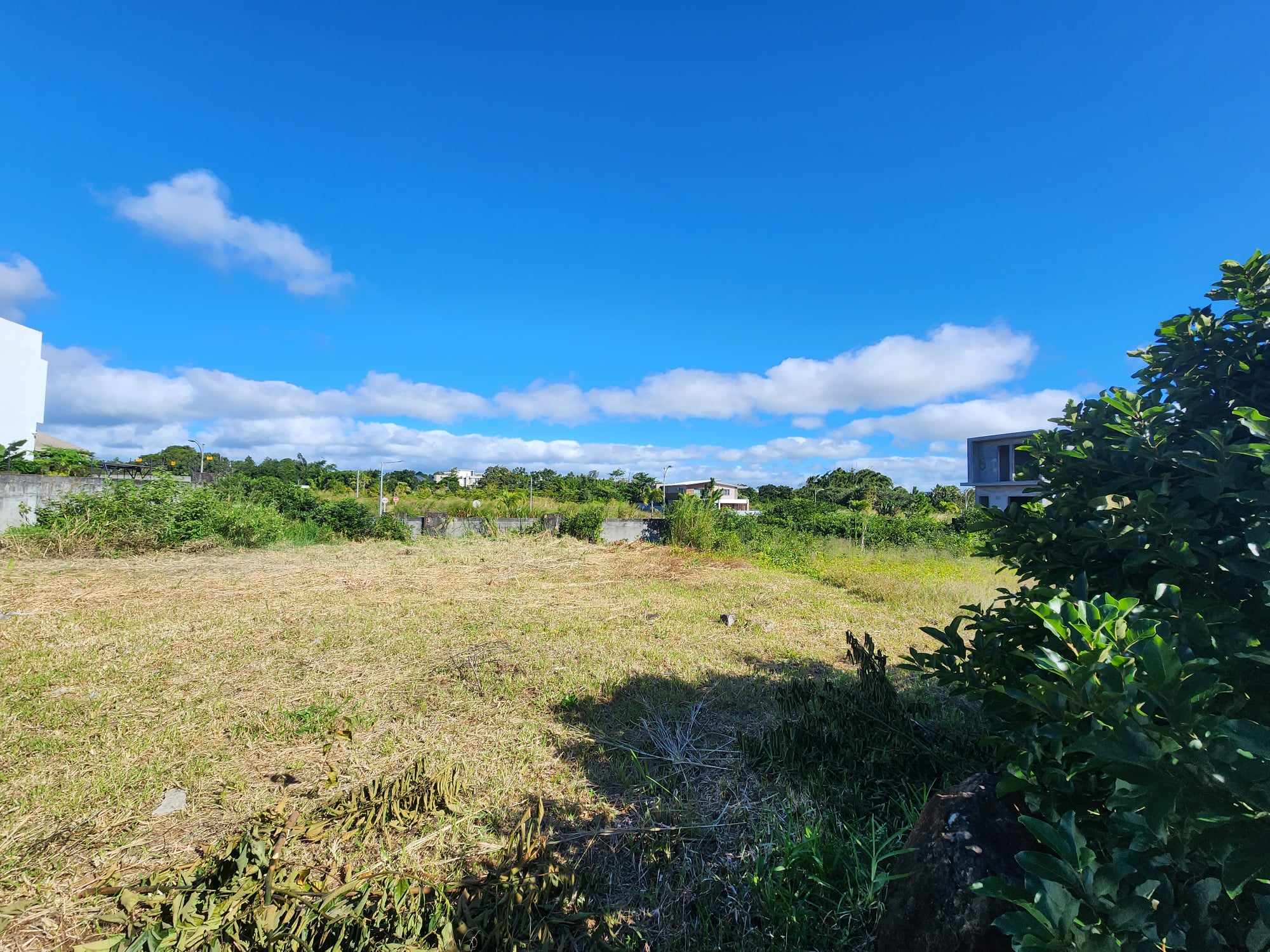 Land For Sale Aurea KI'IMMO