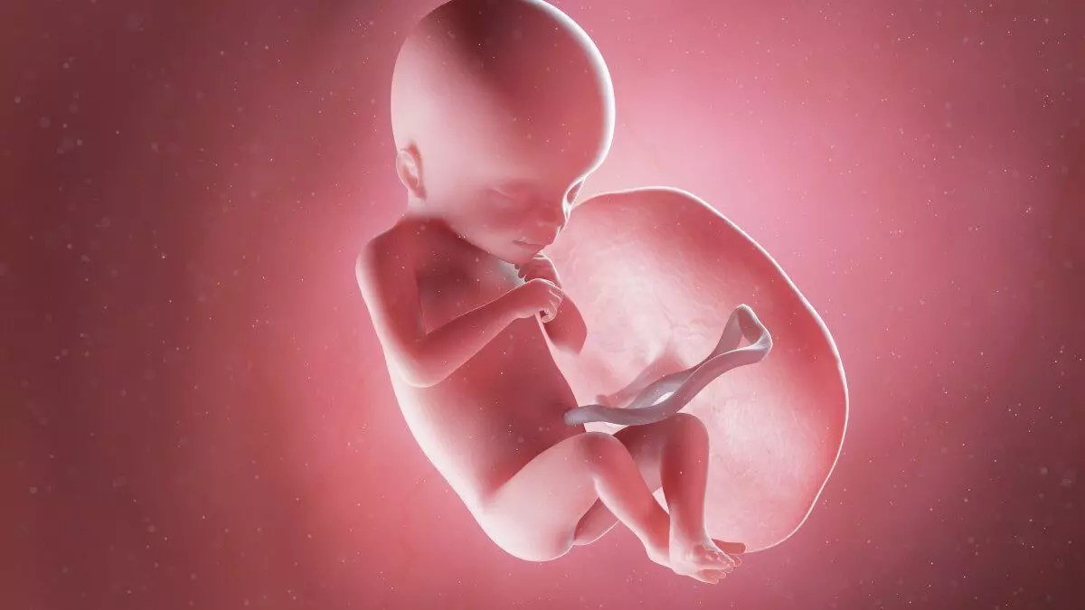 What to expect at 18 weeks pregnant Kiindred