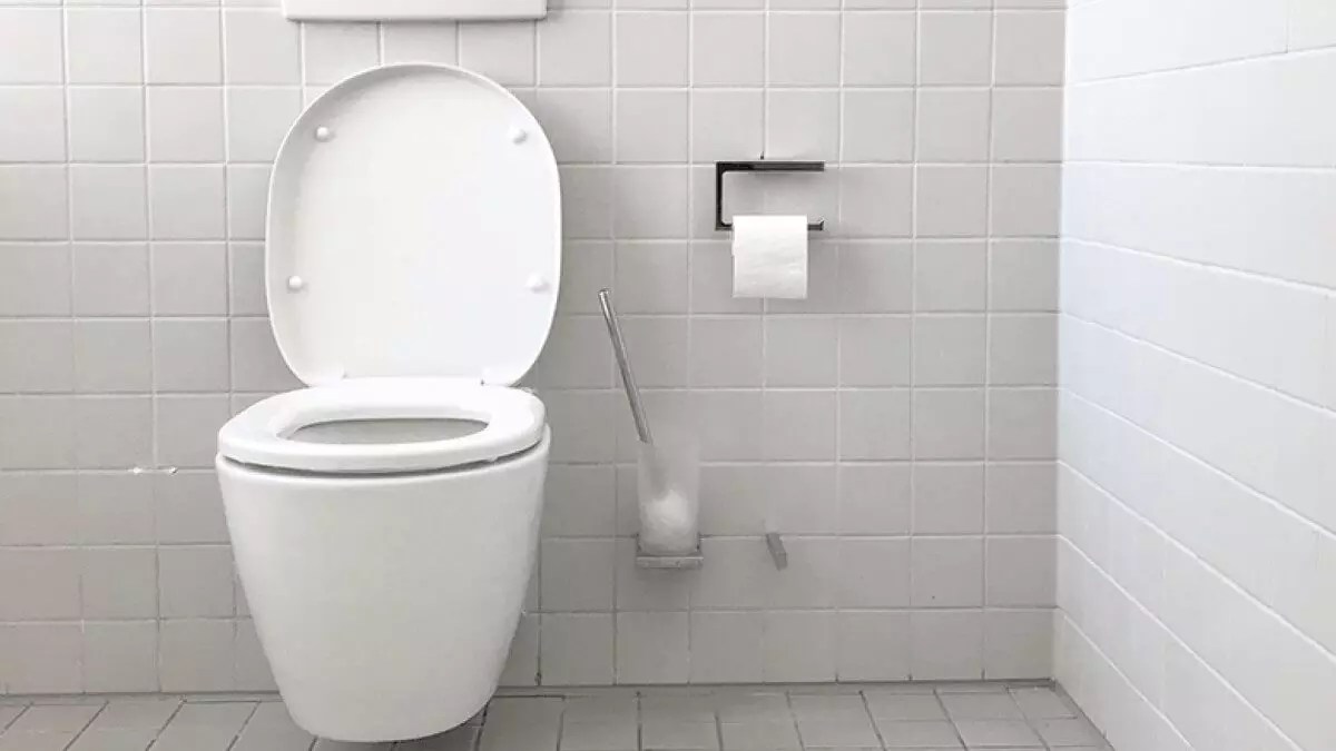 Pregnancy Poop Guide Kiindred