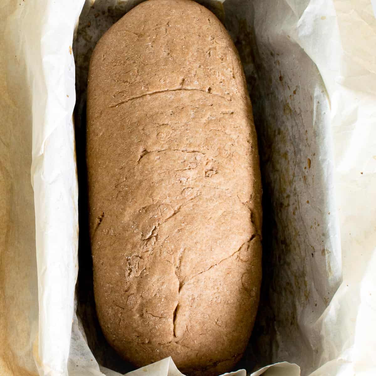 Whole Wheat Bread vegan + dairy free