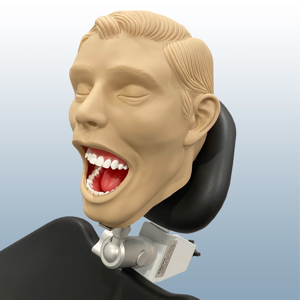 Adult Radiology Manikin Kilgore International. Inc