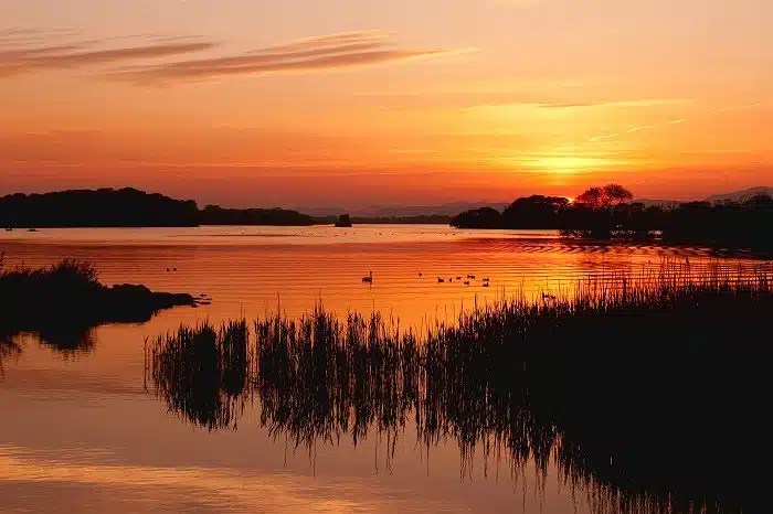 Ross Island Killarney