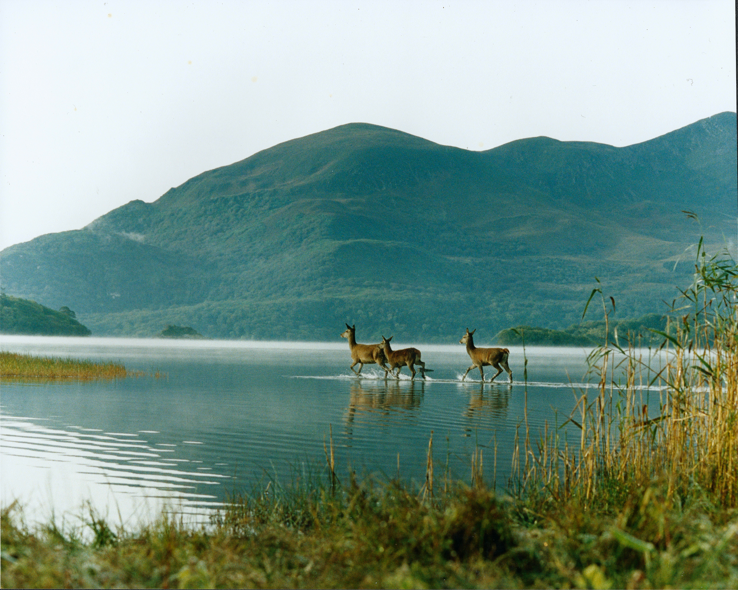 Fishing Experience Killarney Kerry Fishing Adventures Co. Kerry