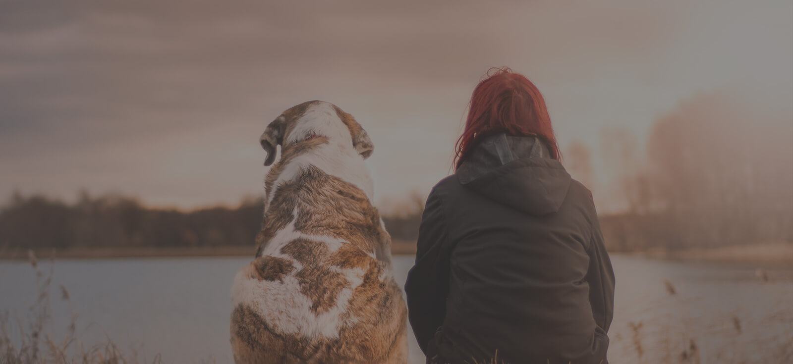 EaseMyMind LLC Pet & House Care Trusted & loved since 2006