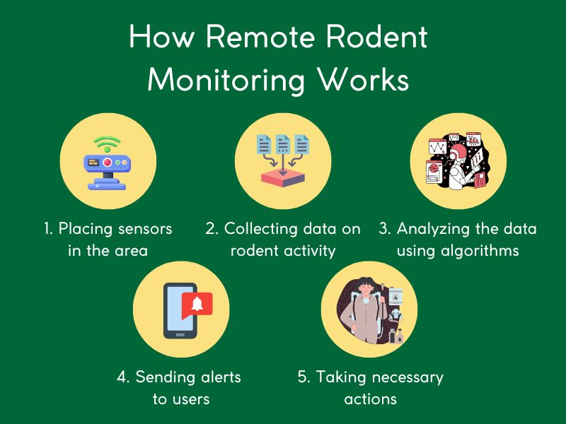 Remote Rodent Monitoring System The Ultimate Guide