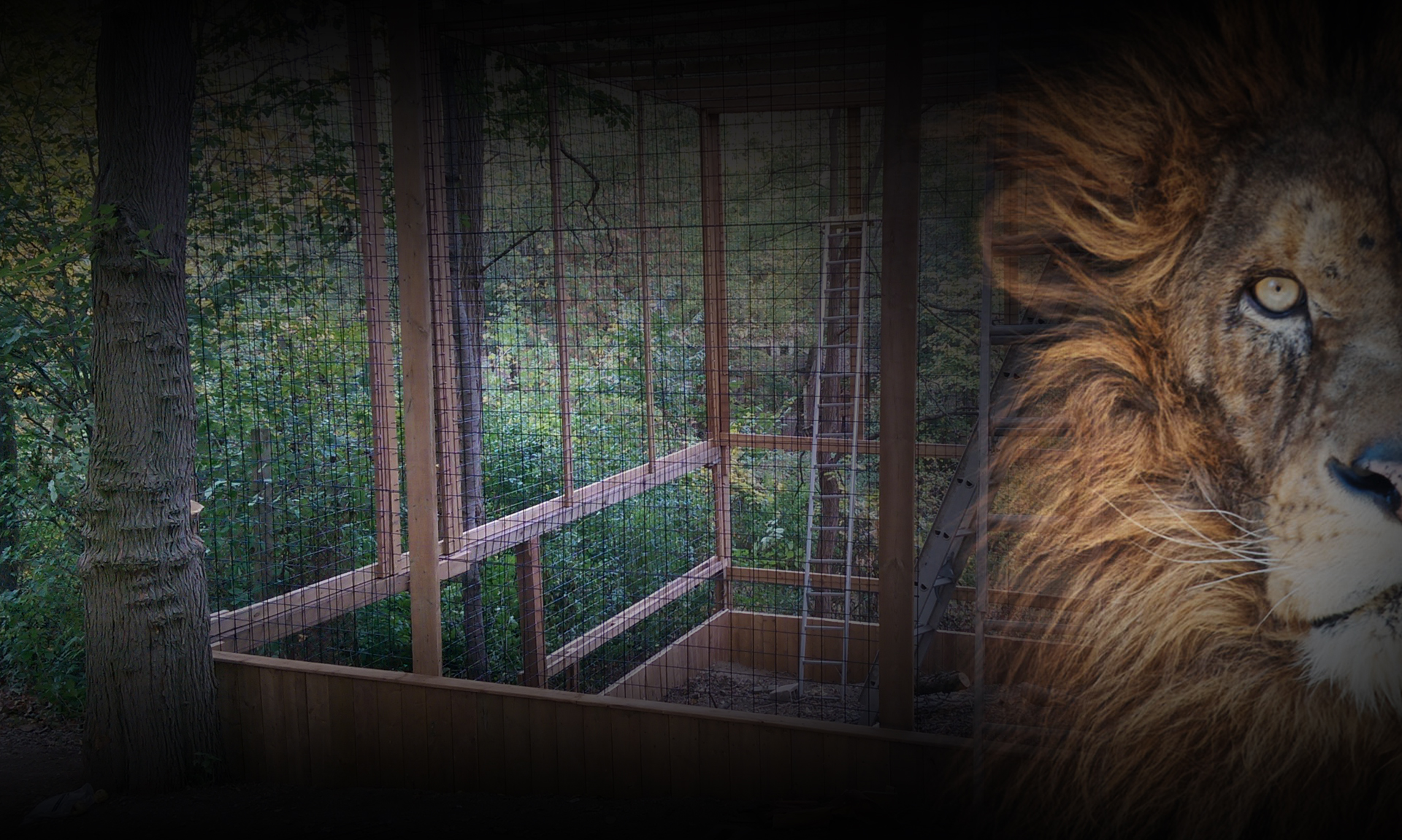 Killman Zoo Killman Zoo Visit Us Today, Meet all the Animals