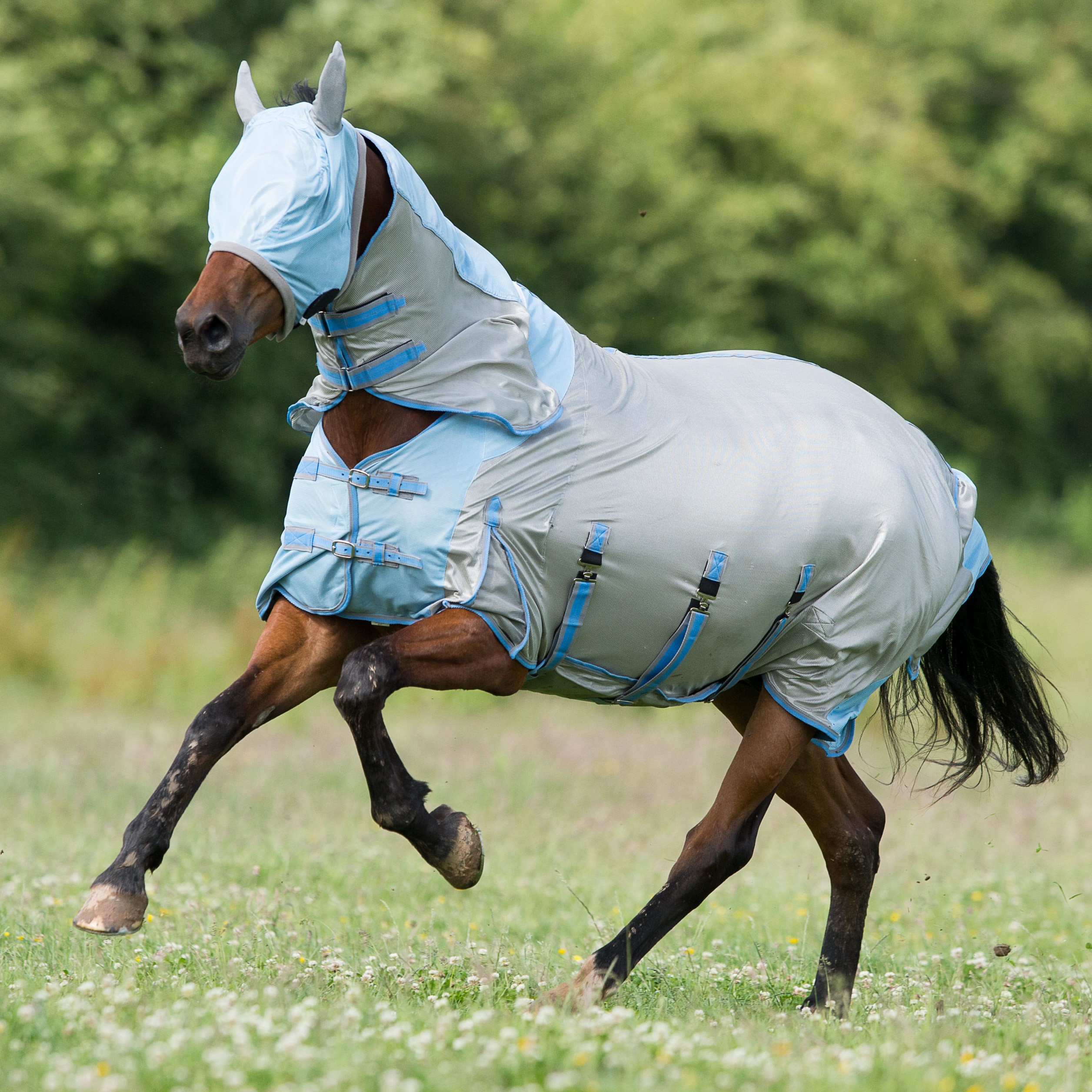 Gallop All In One Fly Rug Killossery Lodge Stud