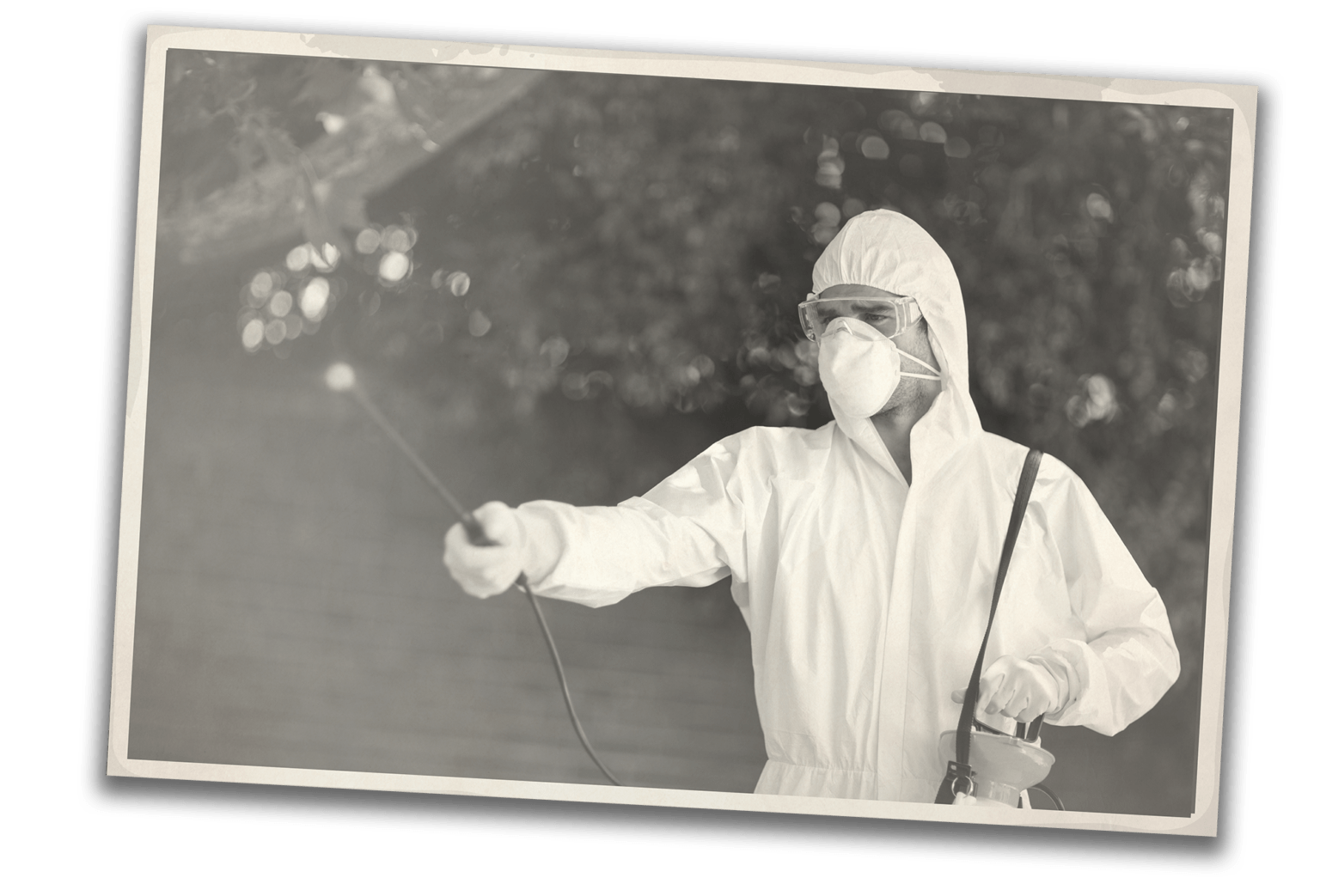 Killroy is Your Local Pest Control Company