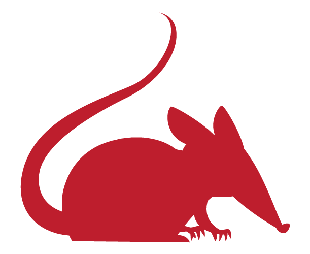 Residential Pest Control Services from Killroy