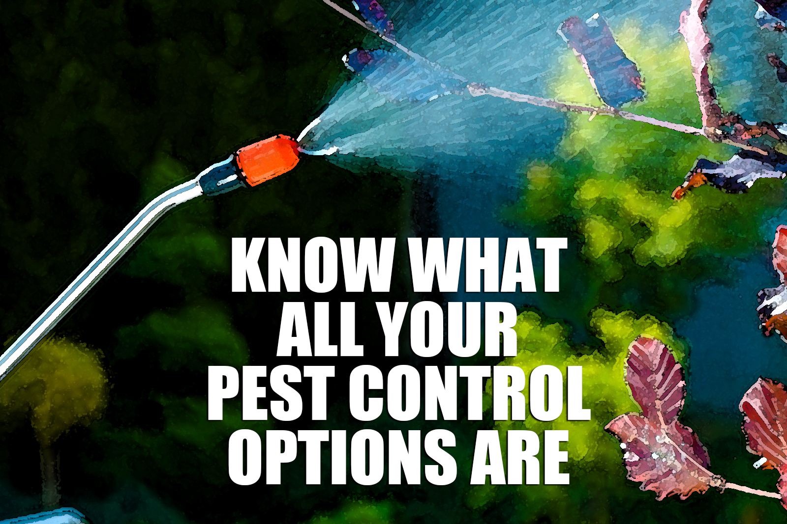 Know What All Your Pest Control Options Are Killroy Pest Control