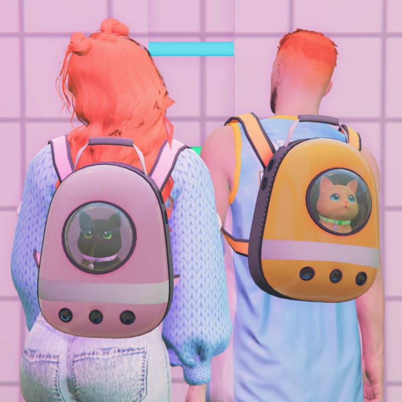 Cat Carrier Backpack