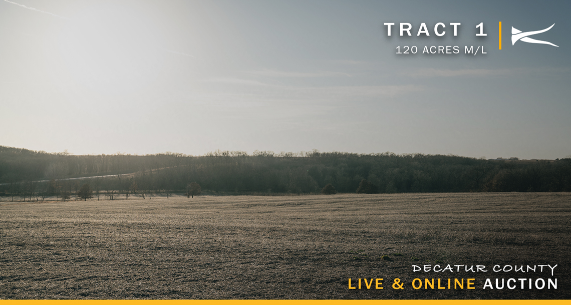Live & Online Decatur County, IA Land Auction KILOTERRA