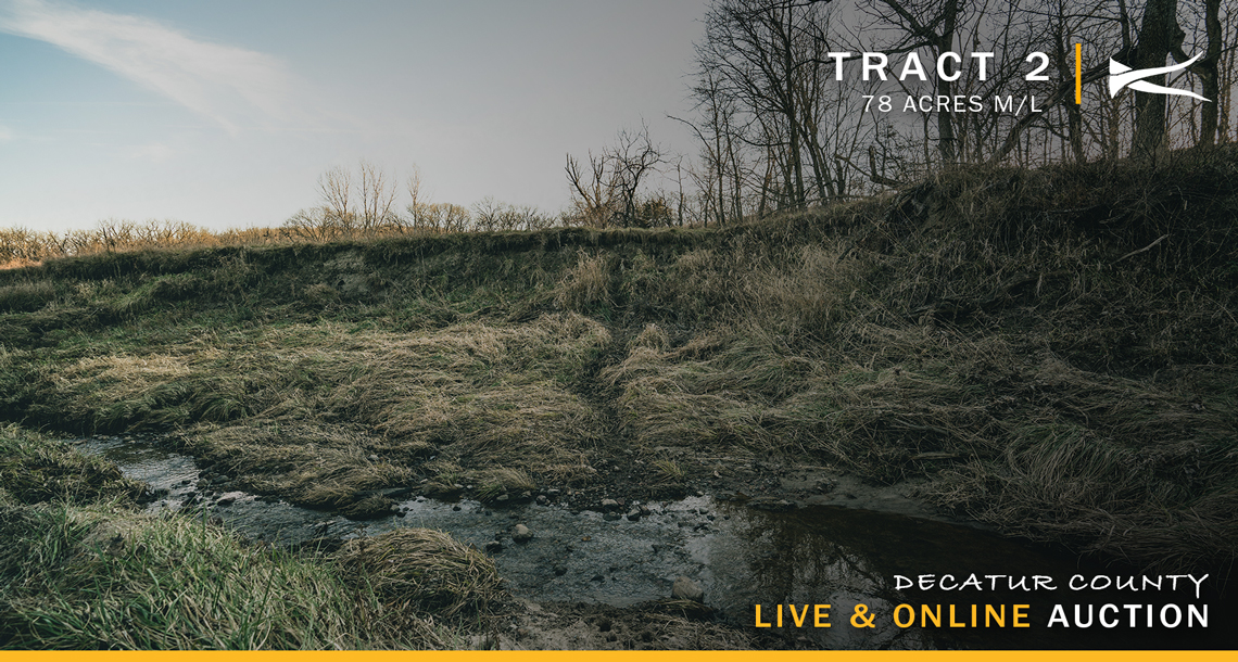 Live & Online Decatur County, IA Land Auction KILOTERRA