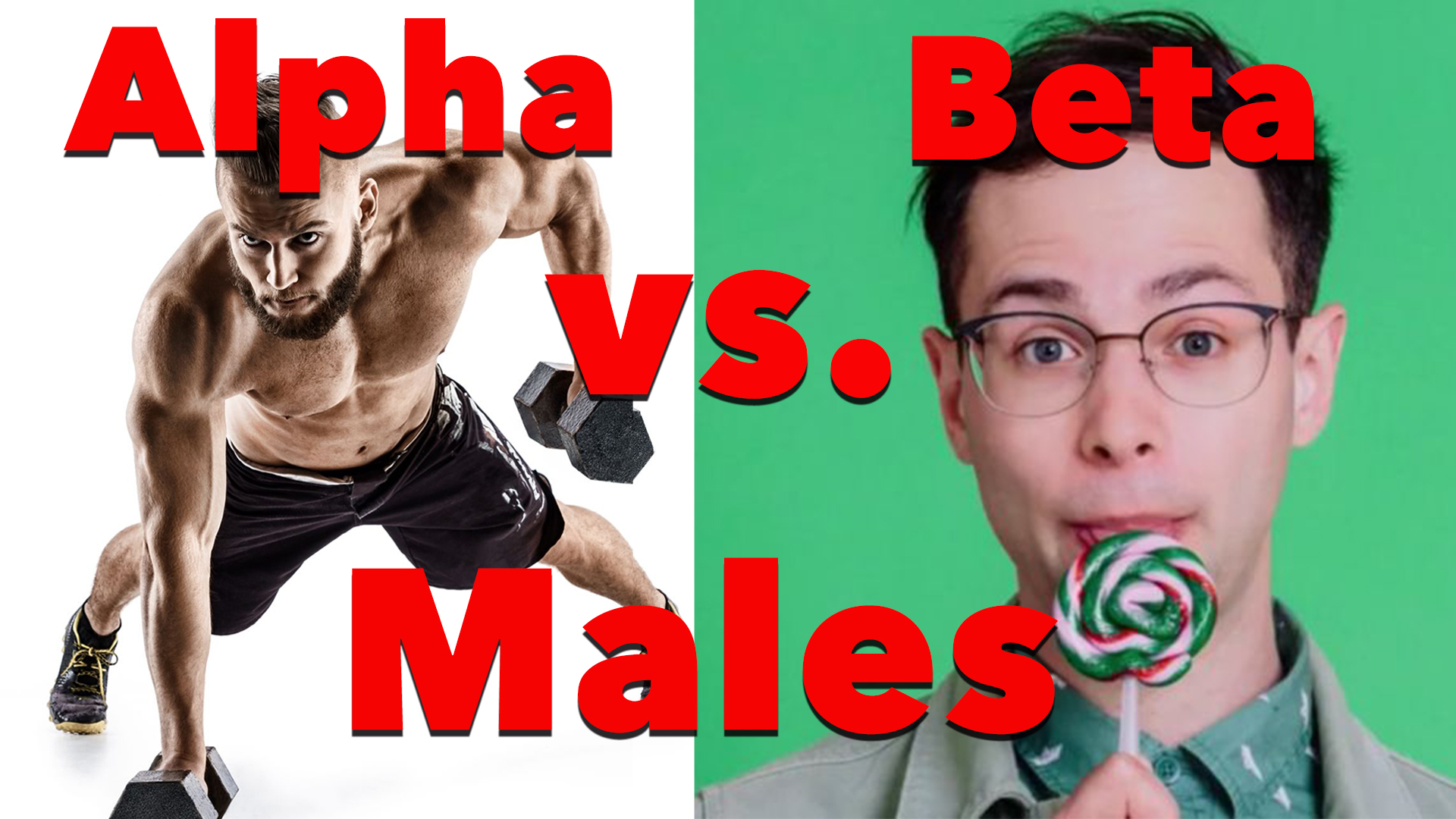 Alpha Males vs. Beta Males — Kim Anami