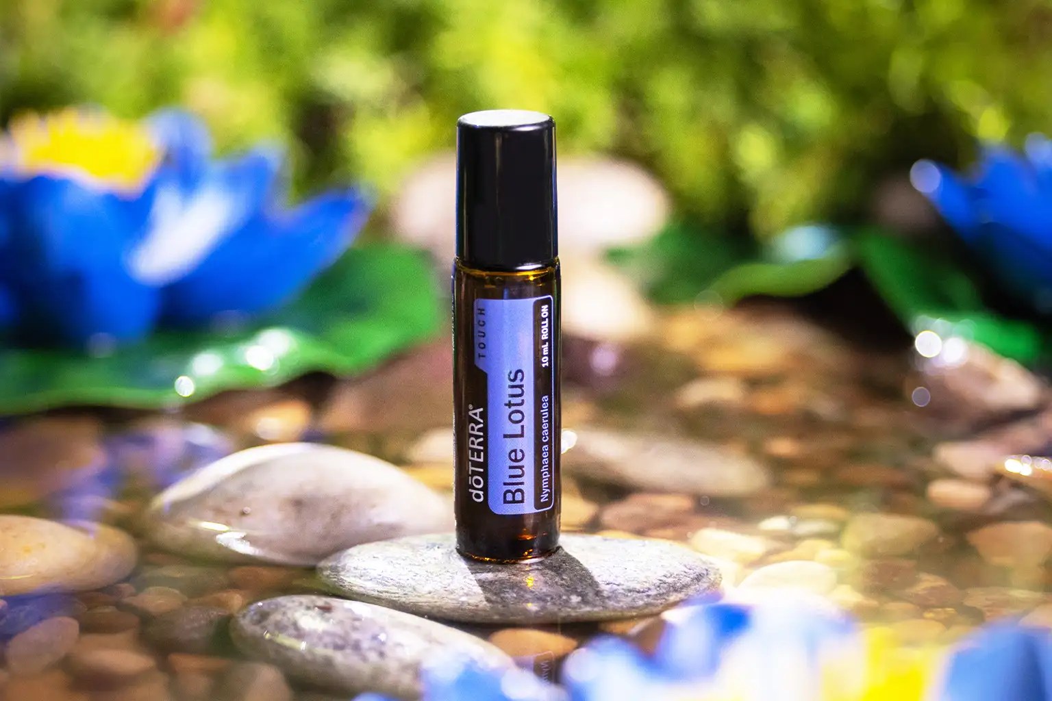 5 Amazing Benefits of Lotus Essential Oil for Mindful Living