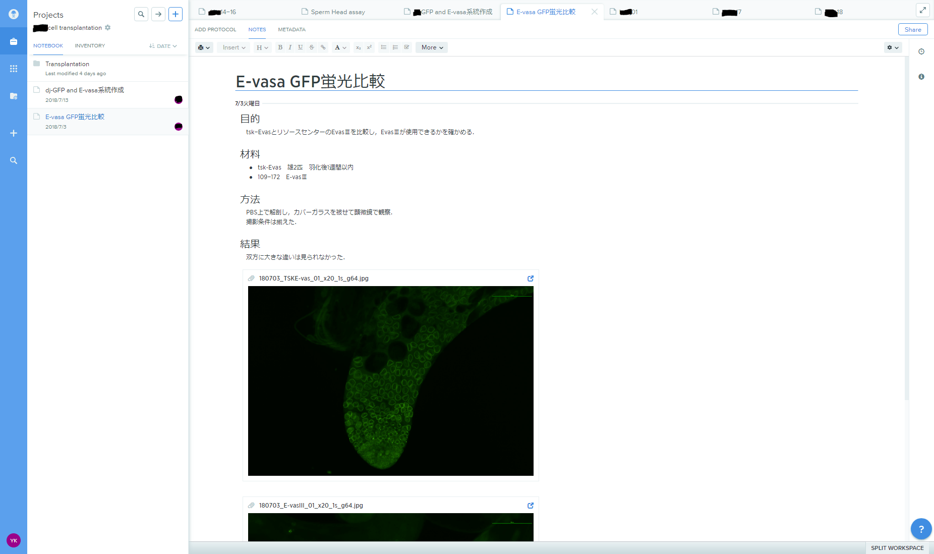 【benchling】Webで実験ノートを取るサービスの使い方 Kim Biology & Informatics
