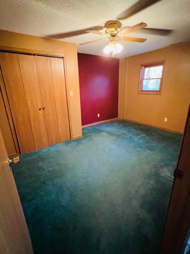 3 BR, 2 Bath, Walk Out Basement in Setting Kim Duncan