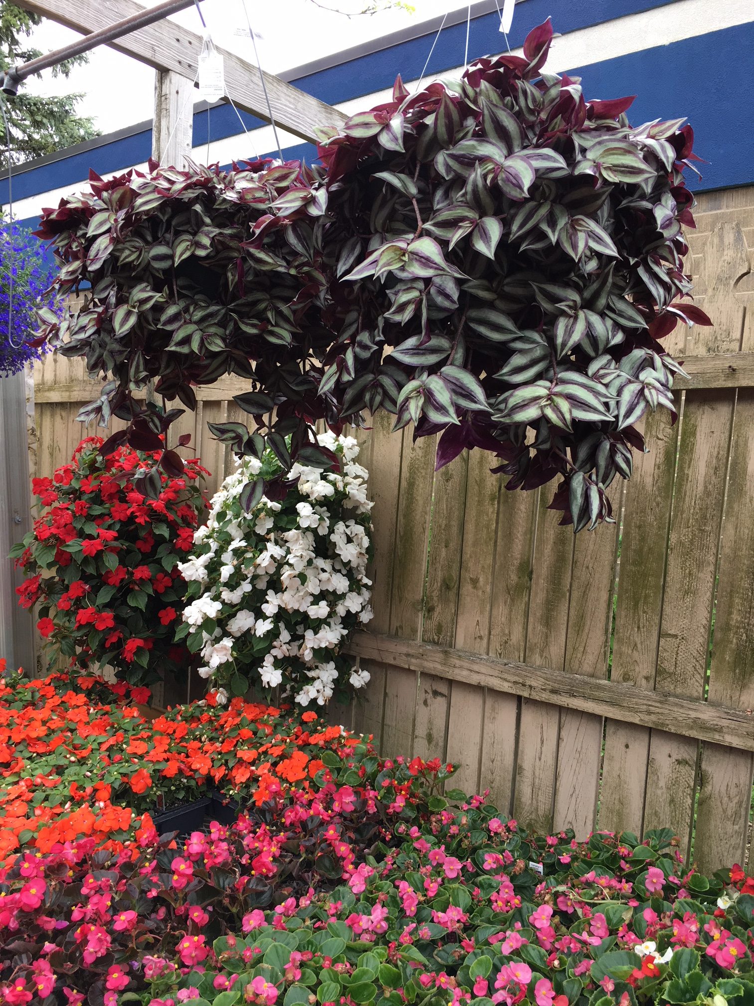 If It's Spring, See Simon's Gardens