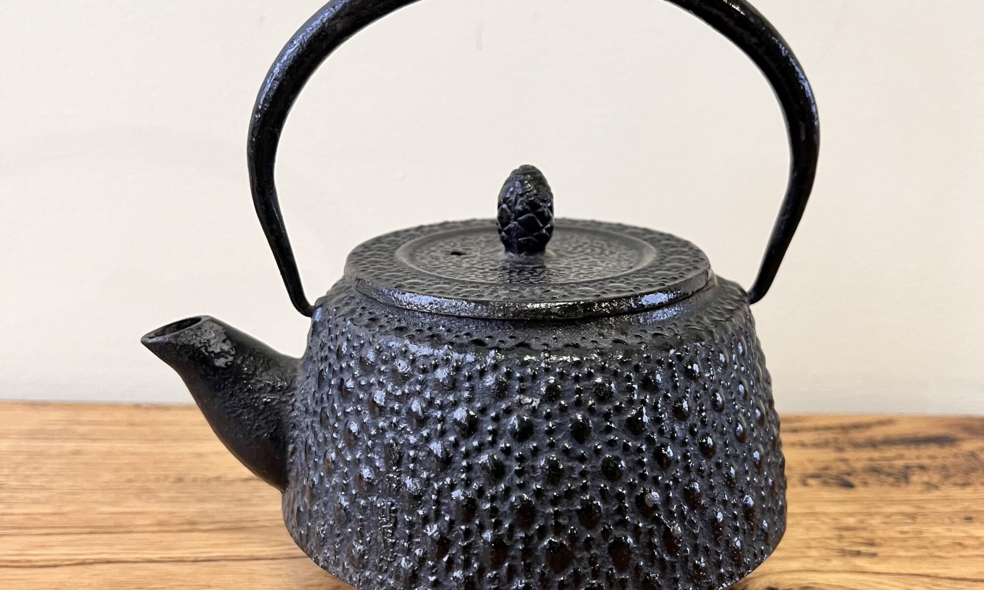JAPANESE TETSUBIN TEAPOT