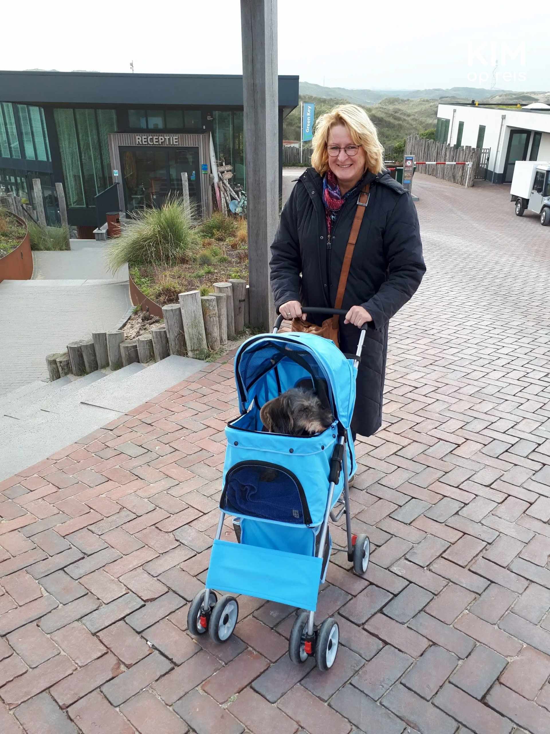 Hond op Qurios Bloemendaal aan Zee