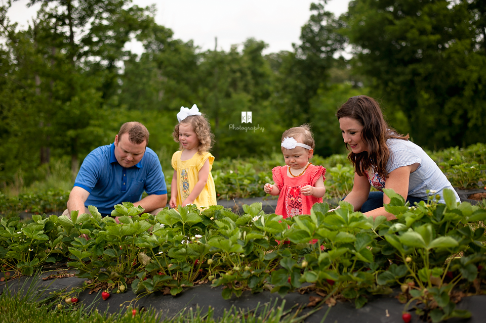 Dunlap Strawberry Session KP Photography