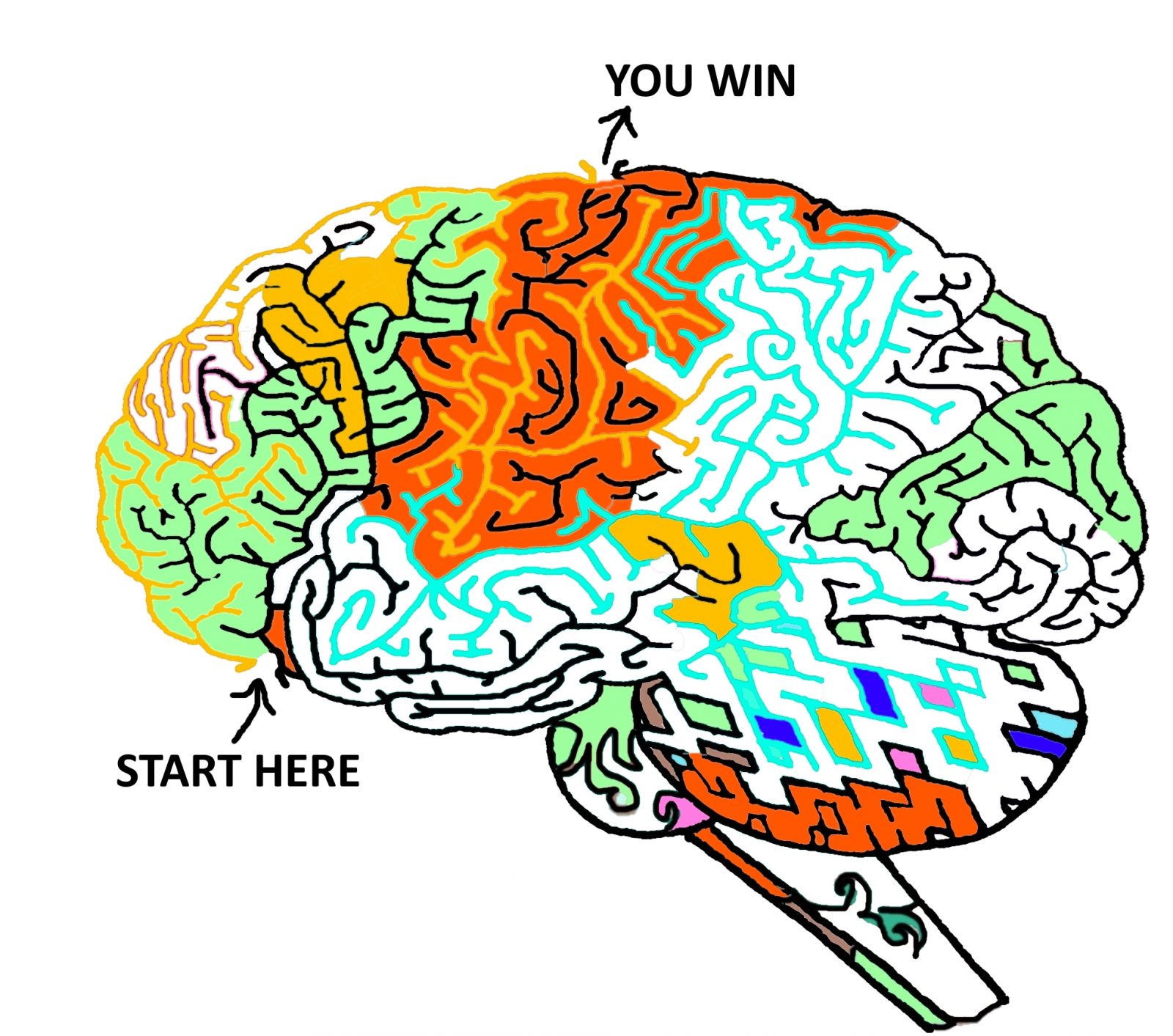 brain maze PSYCHEDELIC 6