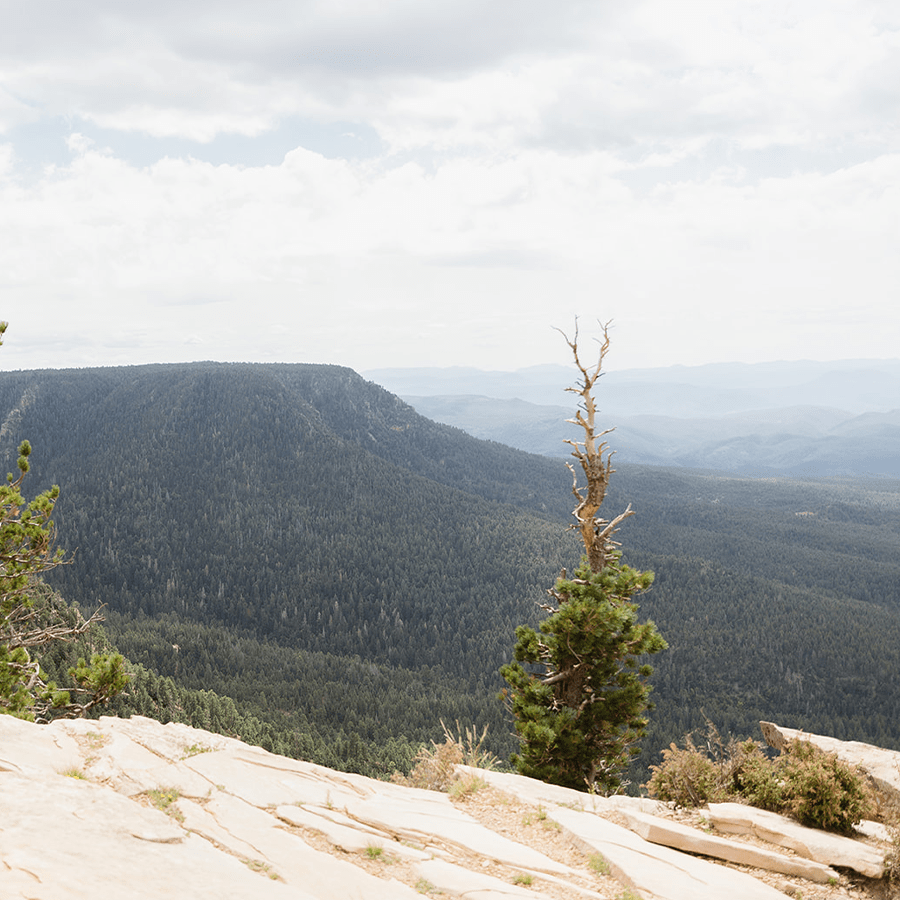 Payson Real Estate Kim Ross Real Estate Payson, AZ