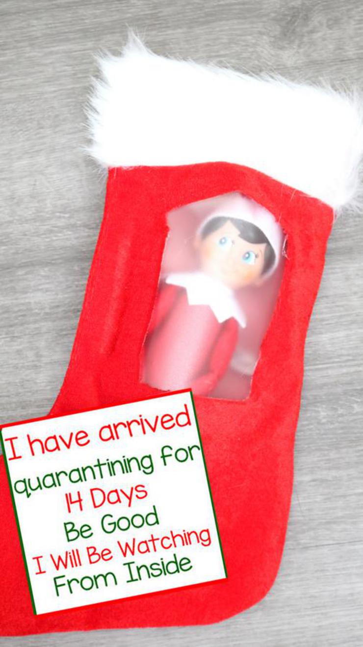 BEST Elf On The Shelf Arrival Idea! Dollar Tree Idea For Kids That Are