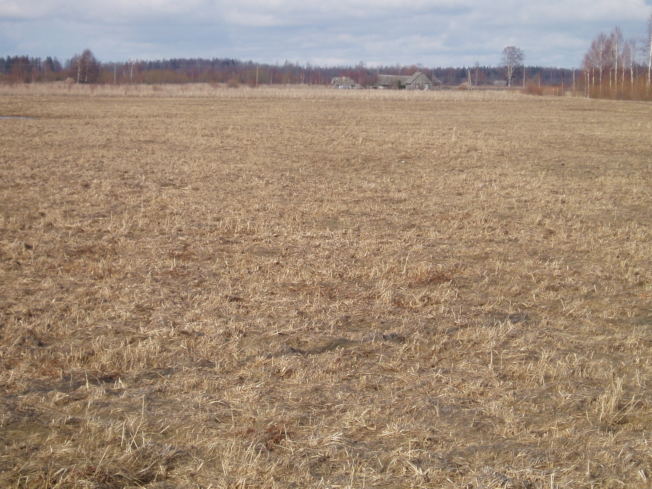 Kimti Properties Property Investment