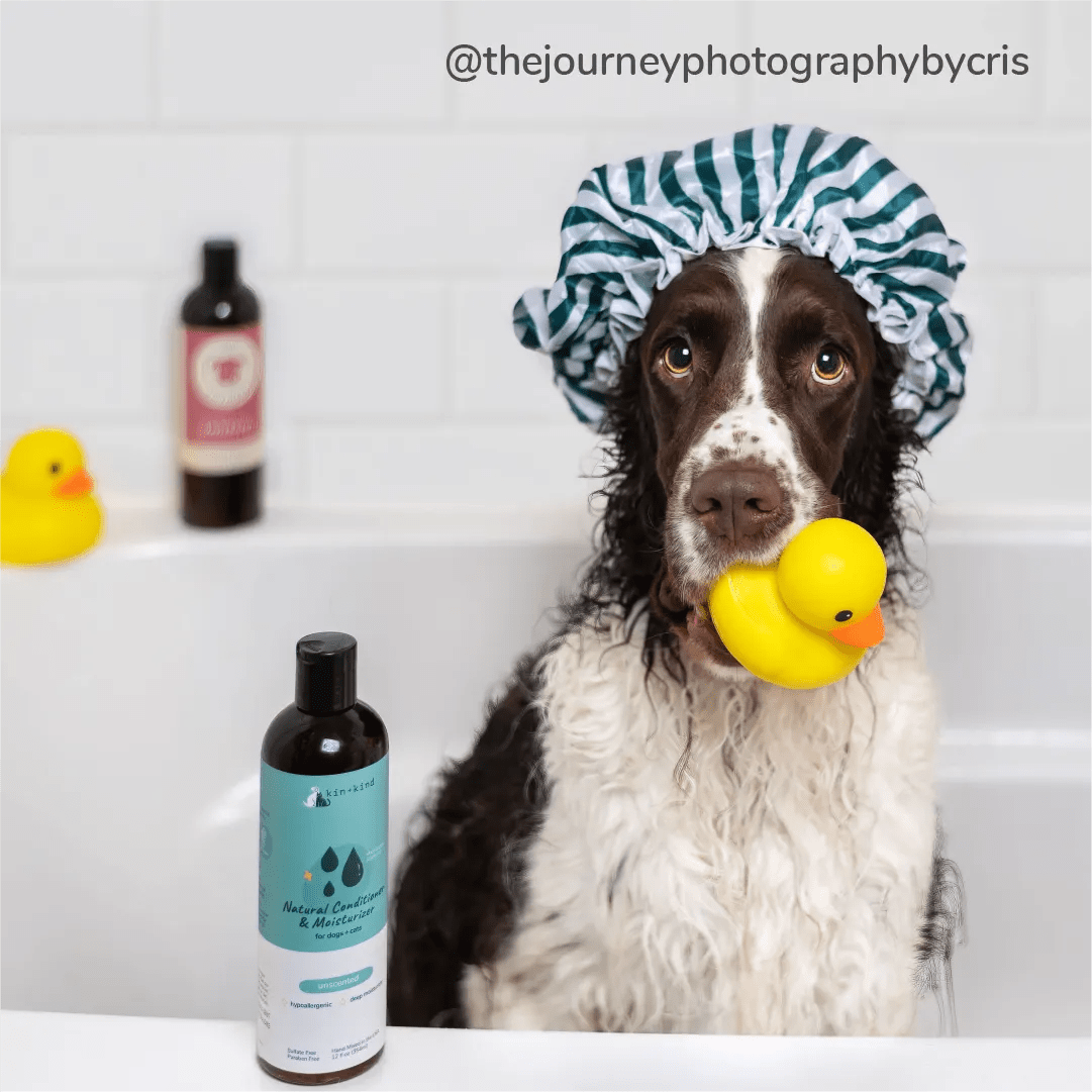 Natural Dog Shampoo Itchy Skin Dry or Sensitive Skin kin+kind