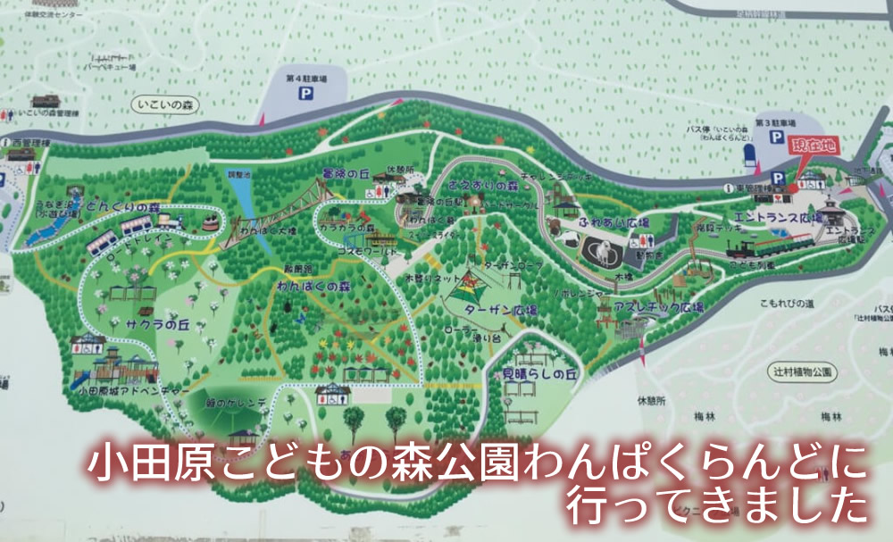 小田原☆こどもの森公園わんぱくらんど 』熱海、湯河原、小田原、真鶴周辺の体験まとめ Byemaさん | 子供とお出かけ情報「いこーよ」 小田原こどもの森公園わんぱくらんど」は子連れにとって最高だった | コハコトリップ