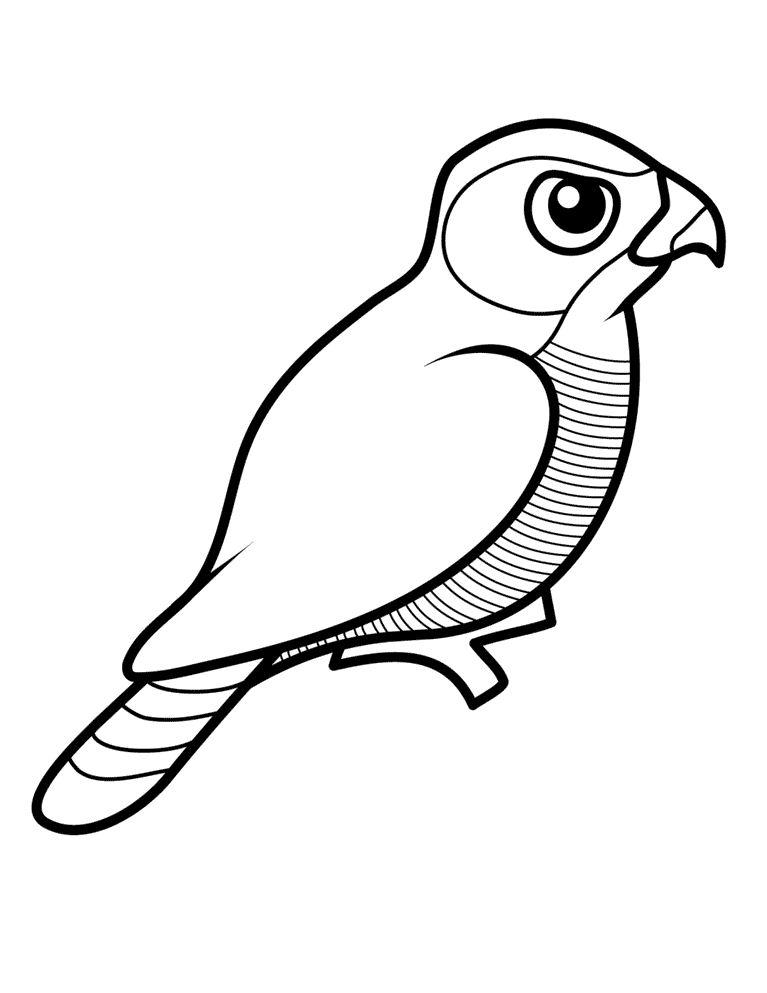 Ausmalbilder für Kinder Falke