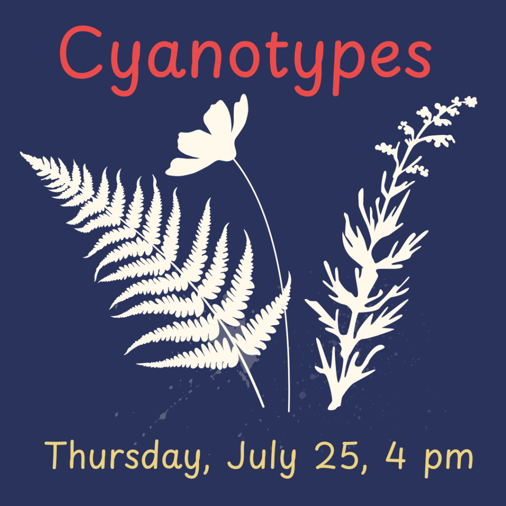 Cyanotypes Kinderhook Memorial Library